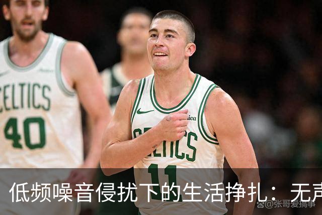 低频噪音侵扰下的生活挣扎：无声的折磨与求助