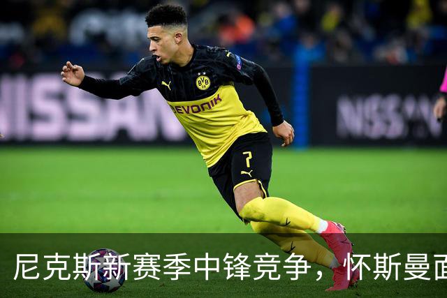 尼克斯新赛季中锋竞争，怀斯曼面临挑战